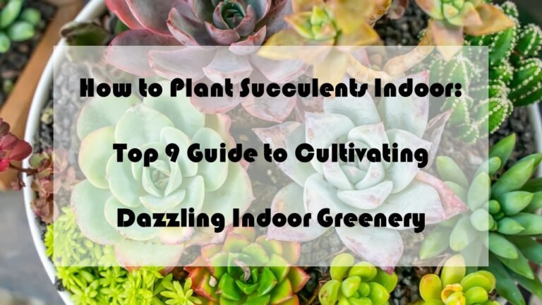 How to Plant Succulents Indoor: Top 9 Guide to Cultivating Dazzling Indoor Greenery