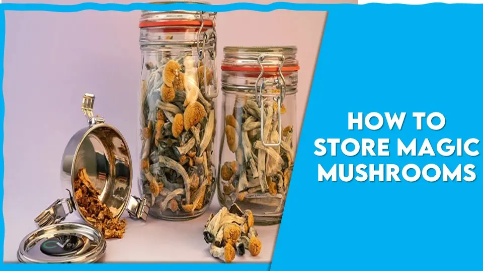 How To Store Magic Mushrooms